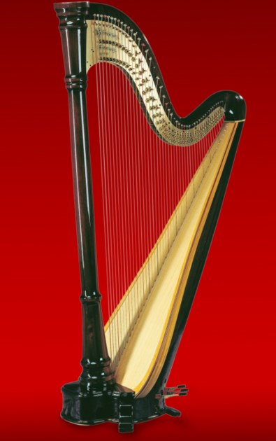 Arp