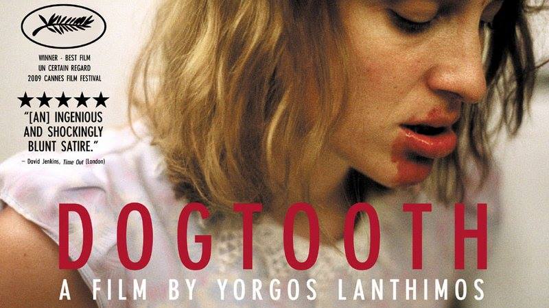 Dogtooth-Köpek Dişi
