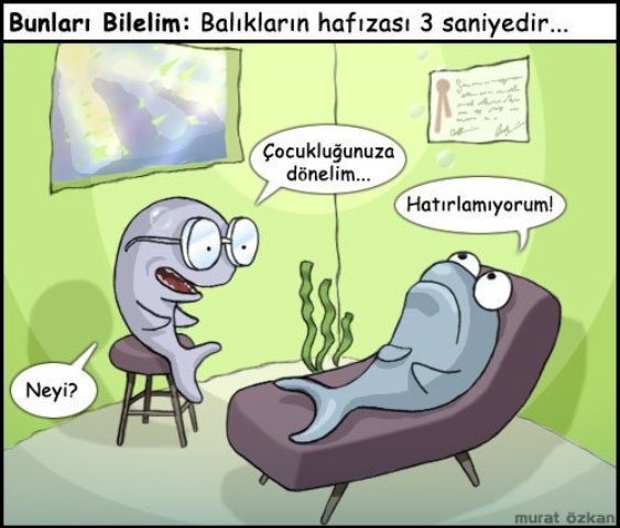 Doktor Balık