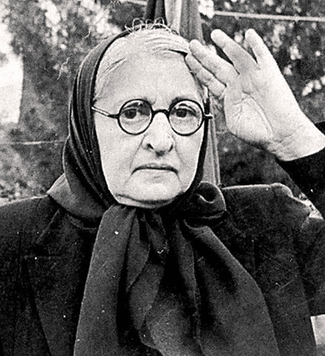 Halide Edip Adıvar Siyah beyaz, dikey dikdörtgen olarak çekilmiş portre fotoğrafta Halide Edip Adıvar, göğsünün üzerinden görünecek şekilde kadraja bakmış. Vücudunu hafifçe sağına döndürmüş; yüzü ise doğrudan objektife bakıyor. Yazar, bulanık fondaki ağaç dallarının ve kapalı bir şemsiyenin önünde duruyor.  Yazarın sol elini, dört parmağı bitişik, başparmağı avucuna doğru eğik, avuç içi kadraja dönük şekilde alnına yaslamış. Avuç içi çizgileri belli oluyor.  Halide Edip Adıvar, objektife ciddi ve üzgün bir şekilde bakıyor.  50’li yaşlarında görünen yazar uzun, hafif toplu bir yüze sahip. Beyaz saçlarının yarısı gözükecek şekilde bir başörtü bağlamış. Görünen saç kısımları alnının ortasından iki tarafa doğru ayrılmış. Yuvarlak, kalın siyah çerçeveli bir gözlük takıyor. Alnı geniş ve gözlükleri kaşlarının bir kısmını kapatıyor. Çukur ve badem gözleri soluk ve donuk. Büyük, uzun ve ucu düşük bir buruna sahip. Burnunun her iki tarafından ağzına doğru iki çizgi yer alıyor. Ancak sağ taraftaki çizgi daha belli. Üst dudağı alt dudağına göre daha dolgun. Uzun dudaklarını kapatmış ve donuk bir ifadeyle duruyor. Hafif uzun çenesi kareyi andırıyor. Biraz gıdısı var.  Yazar siyah bir palto giymiş. Paltosunun önüne doğru başörtüsünün uçları geliyor.