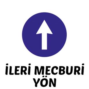 İleri Mecburi Yön