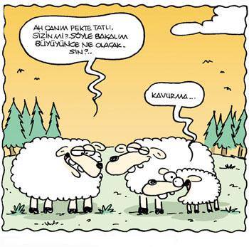 Kavurma