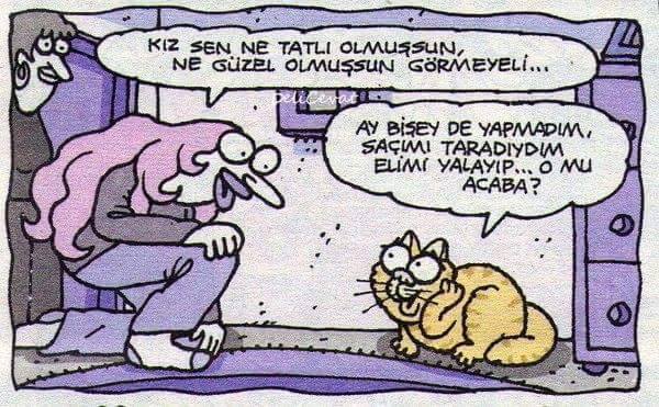 Kedi ve Kadın