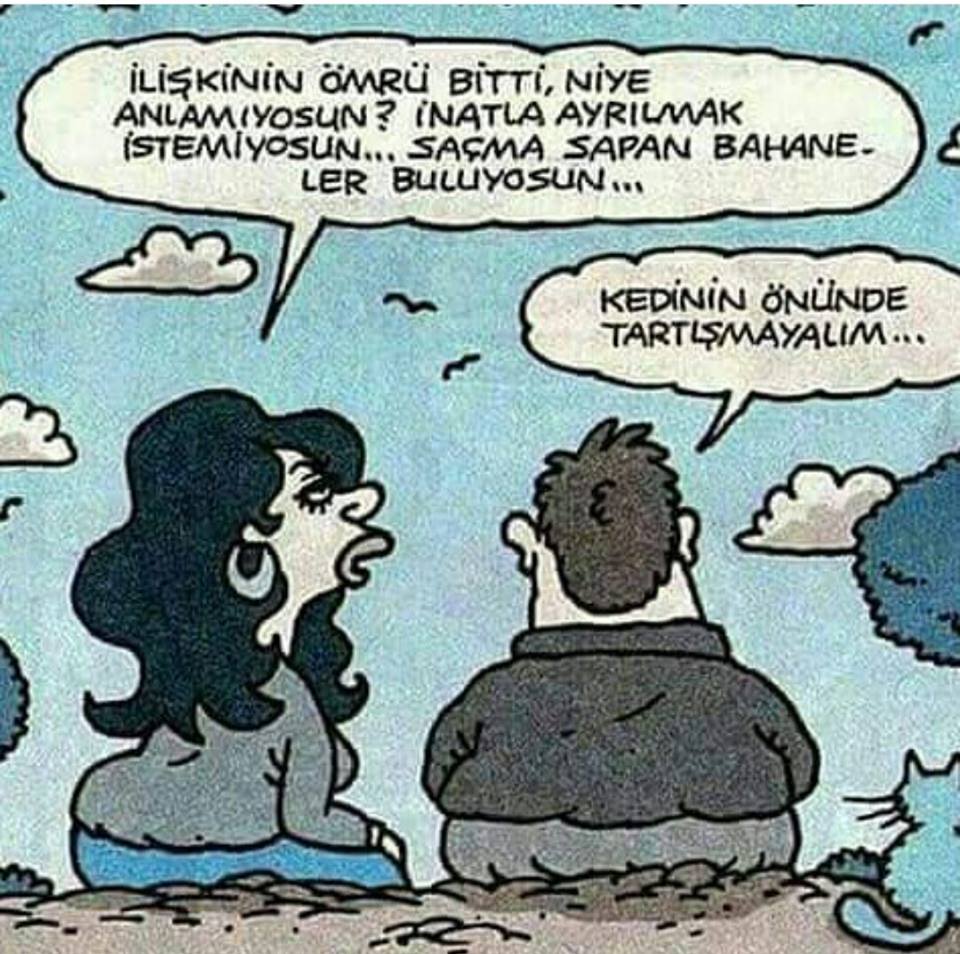 Kedinin Önünde