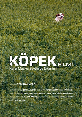 Köpek Filmi-Dog Movie