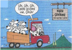 Kuzu Çevirme