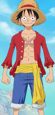 Monkey D. Luffy Arka planı açık mavi gökyüzü olan ve sağ tarafta mavi-grimsi bir kaya ile pembe bir mercan olan dikey dikdörtgen çizgi film görselinin ortasında, ayak bileklerinden yukarısı gözüken yüzü dönük Luffy, yumruk yaptığı elleri iki yanında ağzı kapalı bir şekilde gülümseyerek ayakta duruyor.  Yirmilerine gelmemiş genç bir erkek olan Luffy, kırmızı şeritli hasır bir şapka takıyor ve şapkasının altından siyah saçları perçem perçem alnına dökülüyor. Luffy’nin yuvarlak hatlı yüzü çenesine doğru sivriliyor. Kaşları ince birer çizgi şeklinde ve beyaz oval göz aklarının içinde siyah yuvarlak göz bebekleri var. Sol gözünün altında yay üzerine iki dikey çizgi olan bir yara izi yer alıyor. Çizgi şeklinde olan büyük ağzının kenarları yukarıya dönük.  Luffy, etekleri ve kollarının ucu fırfırlı, uzun kollu kırmızı bir gömleği önünü iliklemeden giymiş. Gömleğin dört tane sarı düğmesi var ve gömleğin kolları Luffy’nin bileklerinin bir karış yukarısında bitiyor. Luffy’nin kaslı üst vücudunun çoğu açıkta ve göğsünün tam ortasında X şeklinde bir yara izi yer alıyor. Luffy beline sarı bir kuşak bağlamış ve kuşağın sol taraftaki ucu dizine kadar dökülüyor. Altında dizlerini kapatan bir kot şort var ve şortun paçaları beyaz peluştan.