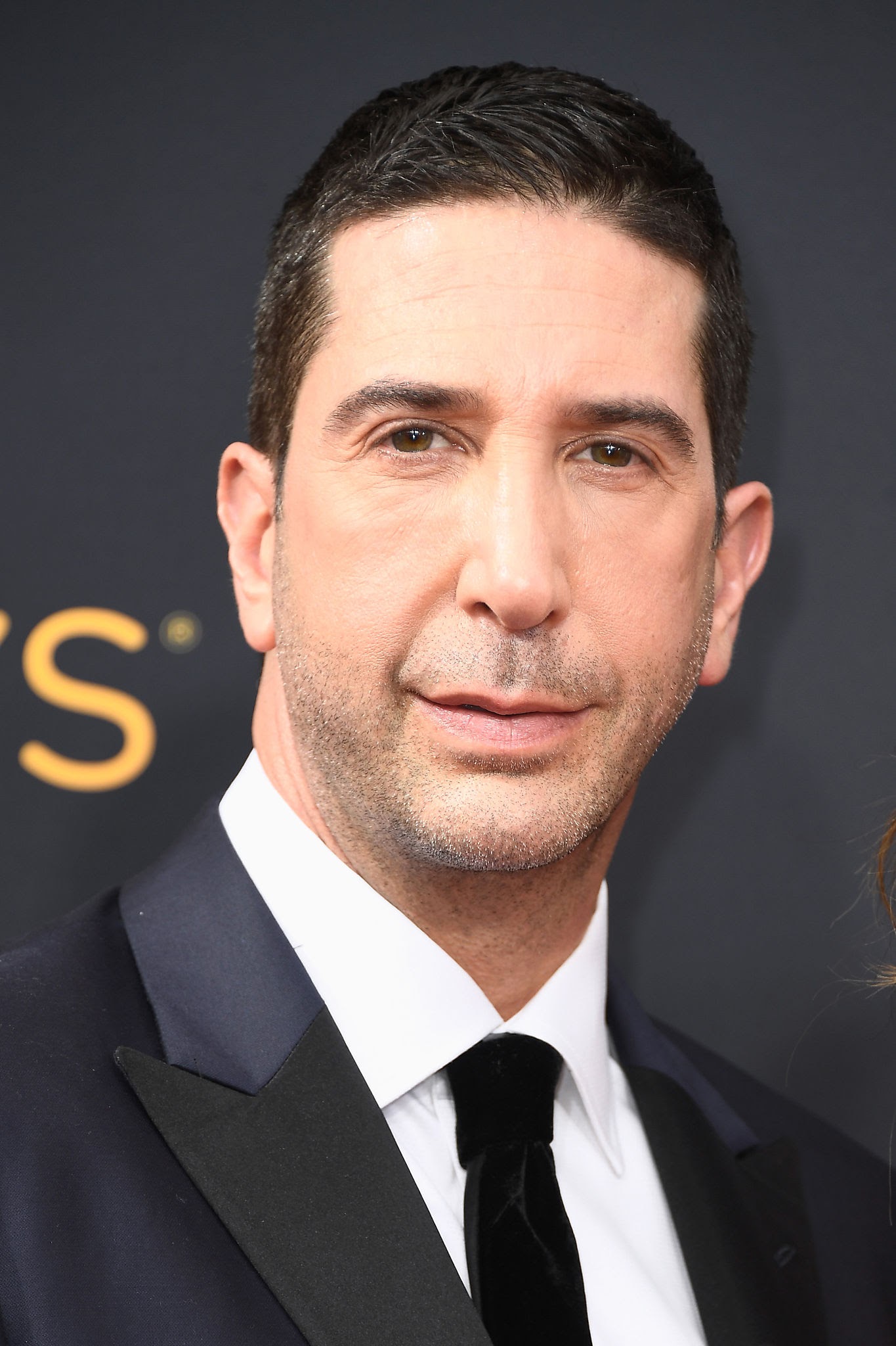 Oyuncu Davıd Schwımmer  Betimleyen: Gökçe ALTINÇEKİÇ (Boğaziçi Üniversitesi, ED200 dersi öğrencisi) Dikey dikdörtgen ve renkli olan fotoğraf karesinde David Schwimmer’ın sadece göğsünden üst kısmı görünüyor. Schwimmer’ın bedeni soluna doğru dururken yüzü kameraya düz şekilde bakıyor. Schwimmer, düz ve uzun bir yüz yapısına sahip. Küçük ve çekik yeşil gözleri olan Schwimmer’ın onlara çok yakın duran ince, biraz dağınık, düz ve siyah kaşları var. Gözlerinin alt kısmının çevresinde gözaltı torbaları ve kenarlarında da kırışıklıklar bulunuyor. Uzun ve yamuk bir burun duvarına, hafif düşük burun ucuna ve dar burun kanatlarına sahip. Pembe üst dudağı ince ve kavisliyken pembe alt dudağı daha kalın ve düz. Aynı zamanda Schwimmer, hafif soluna doğru gülümsüyor bu yüzden dudağından yanağına doğru çok hafif çizgiler oluşuyor. Siyah, beyaz renklerde ve kısa olan sakalları bıyık, çene, dudak, hizasından aşağıya doğru olan yanaklarında ve boyun bölgelerinde bulunuyor. Geniş olan alnında düz, tüm alnını kaplayan üç tane alın çizgisi bulunuyor. Büyük ve kepçe kulakları var. Siyah, düz ve kısa saçlarının ön kısımdakilerin birazı sağına doğru yatık şekilde duruyor. Aynı zamanda yandaki saçlarının arasında beyazlar bulunuyor. Geniş ve küçük bir çenesi olan Schwimmer’ın elmacık kemikleri belirgin değil. Ayrıca iki burun kanadının ucundan dudaklarına kadar gelen çizgiler var ve bunlar yanaklarını belirginleştiriyor. Schwimmer’ın yüzünden normal bir kiloda olduğu anlaşılıyor ve fotoğrafta kırklı yaşlarında görünüyor. Schwimmer’ın uzun ve ince olan boynunun alt kısmını düz, beyaz ve uçları sivri olan gömleğinin yakası kaplıyor. Aynı zamanda boynuna küçük bir düğümle bağlanmış düz siyah renkte ve ince bir kravat takıyor. Lacivert olan ceketi peak tipi yakaya sahip ve yakanın alt kısmı siyah renkte. Ayrıca ceket Schwimmer’ın önünün büyük bir kısmını kapatmış duruyor.  Arka planda siyah, düz bir duvar var fakat Schwimmer’ın sağında kalan kısımda altın renkte “S” yazısı net şekilde belli oluyor.