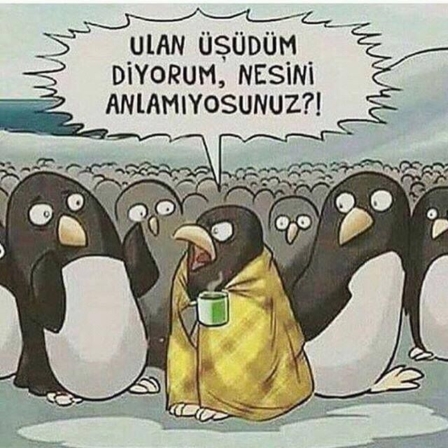 Üşüdüm