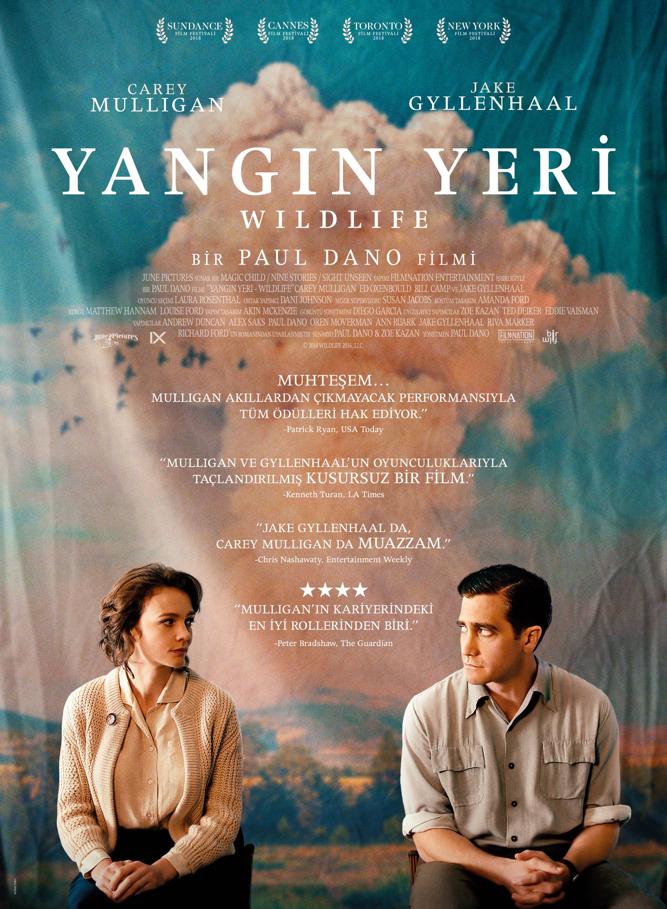Wildlife-Yangın Yeri