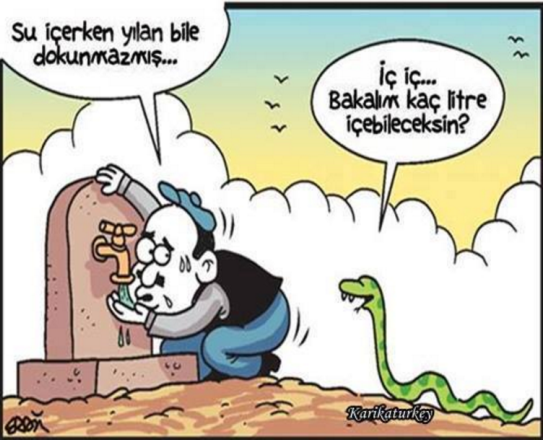 Yılan
